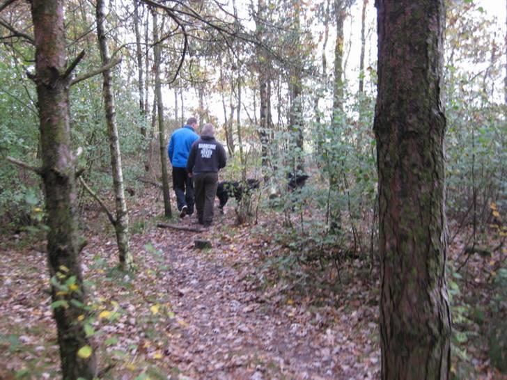 HYGGELIG BERNER-TRÆF-DAG I HAUNSTRUP HUNDESKOV billede 15