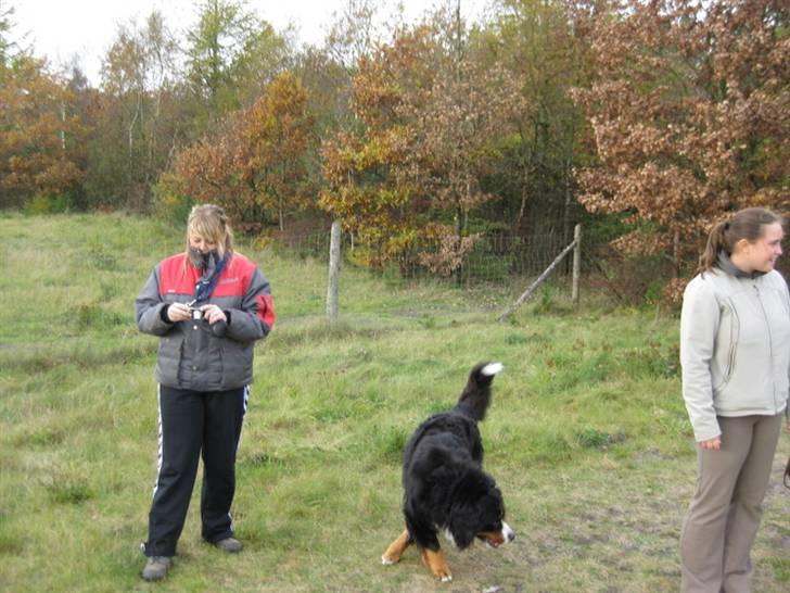 HYGGELIG BERNER-TRÆF-DAG I HAUNSTRUP HUNDESKOV billede 31