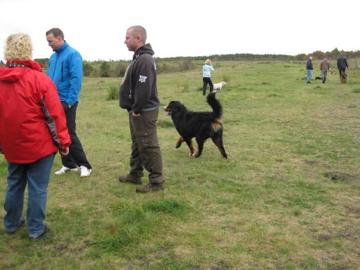 HYGGELIG BERNER-TRÆF-DAG I HAUNSTRUP HUNDESKOV billede 53