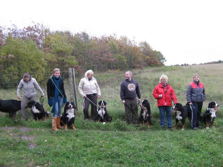 HYGGELIG BERNER-TRÆF-DAG I HAUNSTRUP HUNDESKOV billede 77