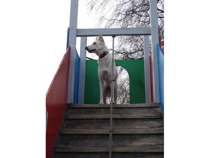 {{currentPhoto.altText}} billede {{currentPhoto.number}}