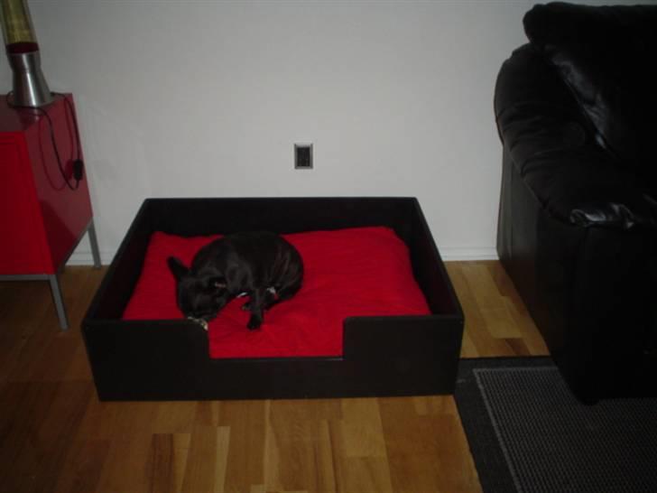 Freya´s nye hjemmelavet seng :) - Musen er kommet med op i sengen. billede 2