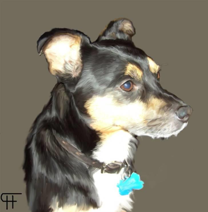 Tegninger af andres hunde - Blanding af racer Buller billede 241