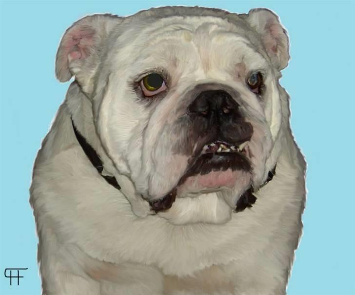 Tegninger af andres hunde - Engelsk bulldog Jason. billede 242