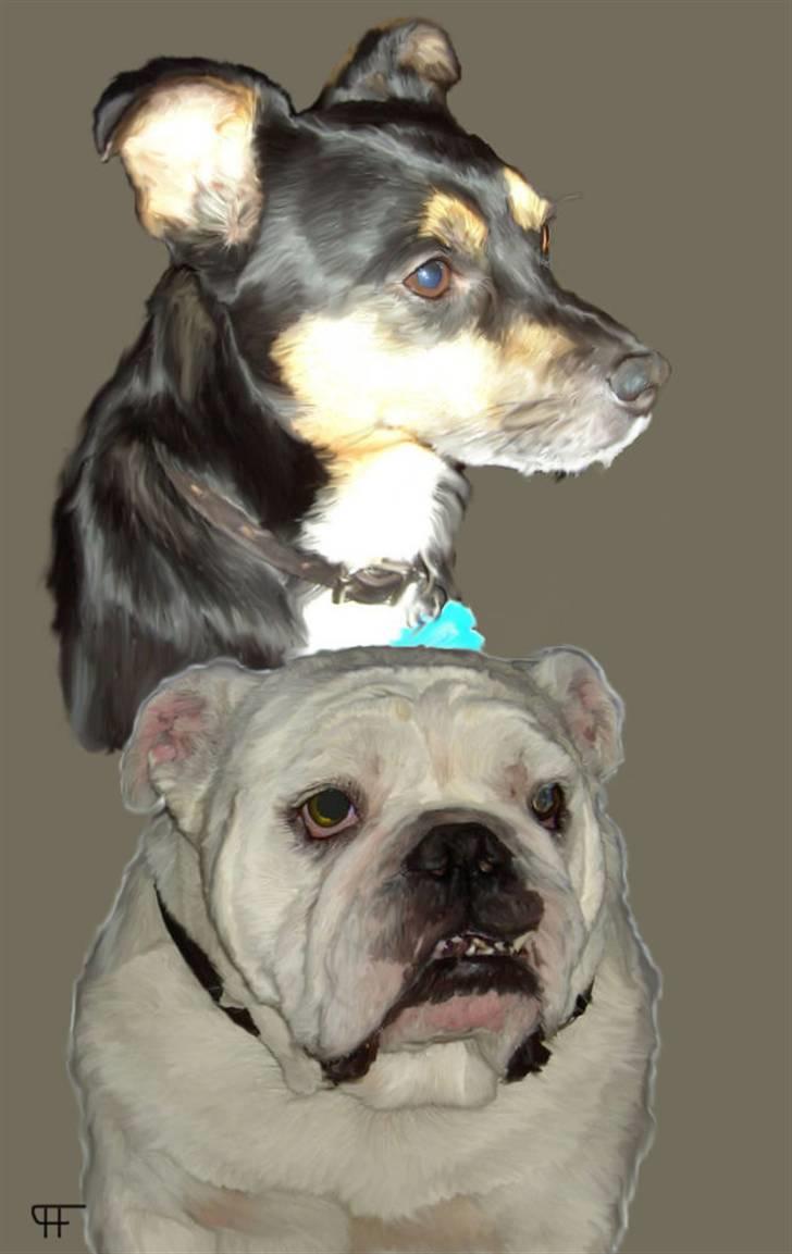 Tegninger af andres hunde - Buller & Jason billede 243