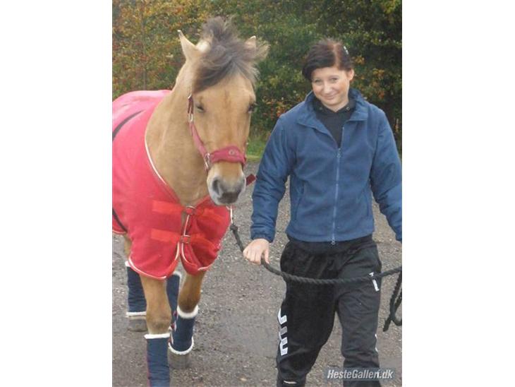 {{currentPhoto.altText}} billede {{currentPhoto.number}}