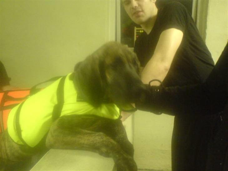 {{currentPhoto.altText}} billede {{currentPhoto.number}}