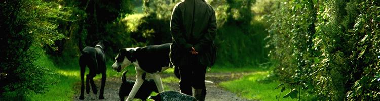 Hunden skal også 'læse avis'