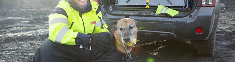 Hunde på job- Med tre svenske sprængstofhunde på arbej...