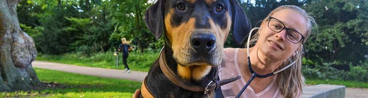 Gadens liv -er et godt hundeliv