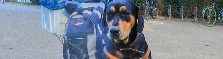 Gennem byen med Stig, Ragnar og Dagmar