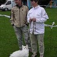 Anette H