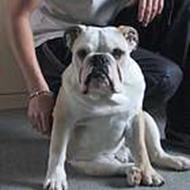 Rasmus og Michelle B