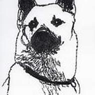 Conny B