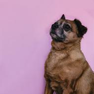 Laverne