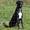 Vibeke N