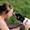 Bolette -