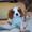 Fido Z