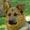 Lotte E