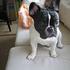 jesper k