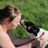Bolette -