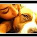 hunde maleri