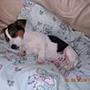 Mille i