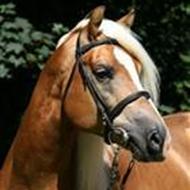 Steffanie Østergård L