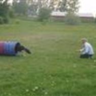 Team Agility (Puk og Cille) <