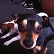 team små<3*snoop-samson*<3:D *