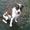 birgitte s