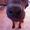 Regnbue - Ridgeback <3 .