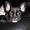 Vagn P