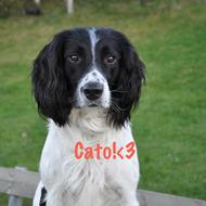 Clara Bergman Smit '