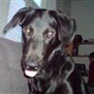 << kenneth & sussi >