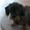 Nicoline ¤ Petra † 09-04-2010 † :'( .