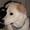 Pernille & Mia..Vores hunde er de dejligste!:D  