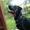 Thomas&Gitze P