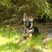Hunde møde i weekenderne?  