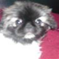 Jette P