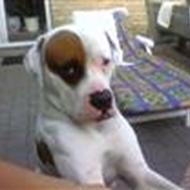 Lars Pichard N