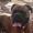 champion chiko l