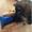 AnneDorthe R