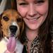 Hundefoder til beagle.