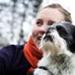 Hunde i Herlev