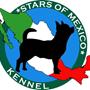 kennel stars of mexico n