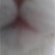 Lourdes I