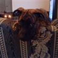 Frederik & Nathalie K