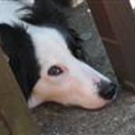 Helena Knudsen (':  K