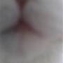 Lourdes I
